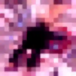 plan cul à Paulx : photo de Alessandra, 36 ans - accès libre