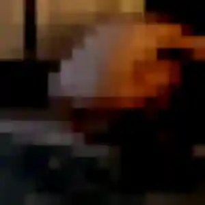 Photo perso de Azalee, 34 ans à Pechbusque - rencontre coquine