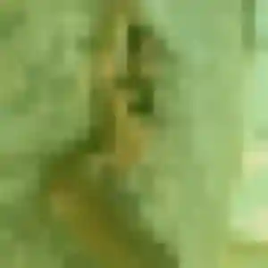 Profil de Urielle à Perpignan (22 ans) - plan cul anonyme