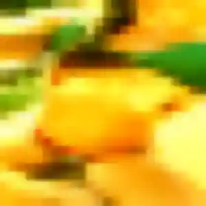 Jolie Odette, 27 ans à Perrigny-sur-l'Ognon - découvrir son profil