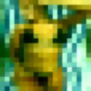 Rencontre Sibylle, 41 ans à Perros-Guirec en t'inscrivant