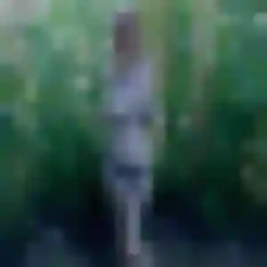 Rejoins Blanche, 41 ans à Peyrat-de-Bellac en t'inscrivant