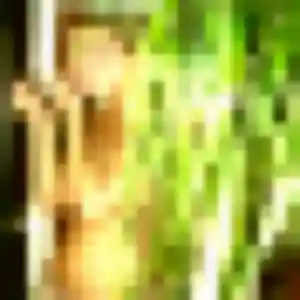 Wahiba, 28 ans, disponible à Pins-Justaret pour une rencontre coquine