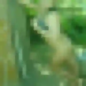 Photo de Debora à Plaintel (36 ans) - plan cul sans inscription