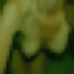 Photo de Irene à Plaisance (36 ans) - plan cul anonyme