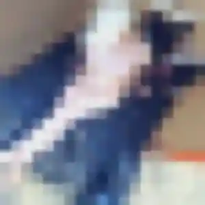 Nora, 24 ans, en ligne à Plélan-le-Petit pour une rencontre coquine
