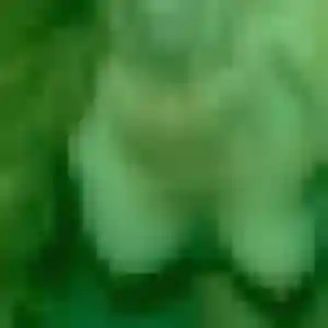 Gaelle, 22 ans, dispo pour plan cul à Pleuven