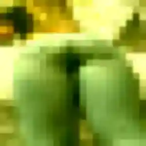 Photo perso de Uranie, 26 ans à Plouescat - rencontre coquine