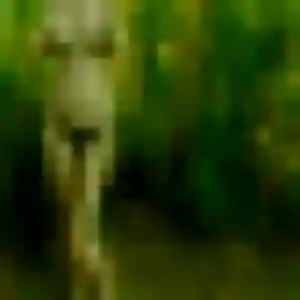 Charmante Fiona, 26 ans à Pludual - découvrir son profil