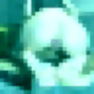 Contacte Cyrielle, 31 ans à Pogny gratuitement