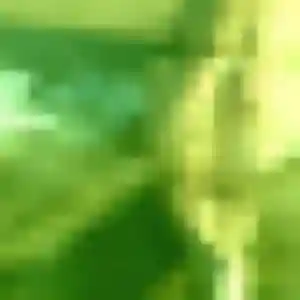 Belle Eglantine, 36 ans à Polliat - découvrir son profil