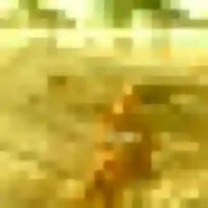 Lucienne, 30 ans, connectée à Polminhac pour une rencontre coquine