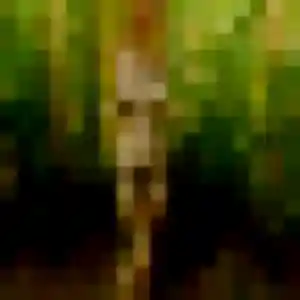 Photo sexy de Adeline, 33 ans à Pomarez - plan discret