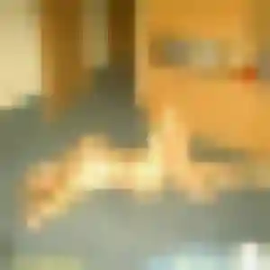 Nathalie, fille de 45 ans cherche plan cul à Pomarez