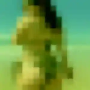 Maelys (37 ans) à Pommereuil cherche une rencontre aujourd'hui