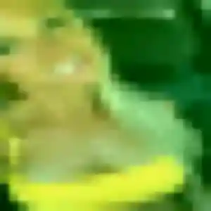 Photo de Iris à Pompignac (44 ans) - plan cul anonyme