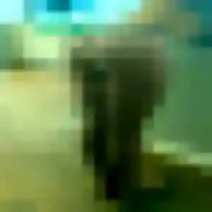 Wendy de Pontchâteau, 27 ans - plan cul sans prise de tête