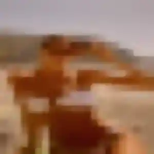 Photo exclusive de Ketty, 31 ans à Portets - rencontre coquine