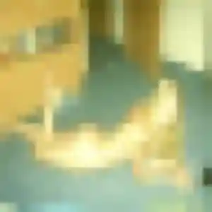 Profil de Debora à Portieux (43 ans) - plan cul sans inscription