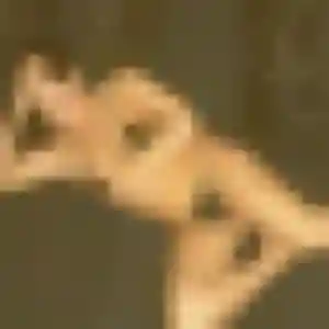 Sabrina, 34 ans, disponible à Pouilloux pour une rencontre coquine