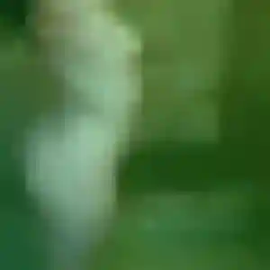 Debora, 27 ans, disponible à Pouilly-sous-Charlieu pour une rencontre coquine