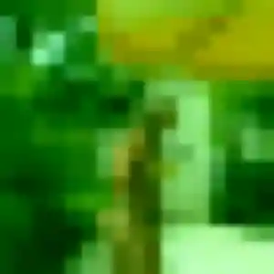 Profil de Iseult à Pouzilhac (26 ans) - plan cul anonyme