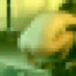 Rejoins Clarisse, 32 ans à Prades-le-Lez en privé