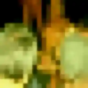 Charmante Orane, 42 ans à Prat - la contacter