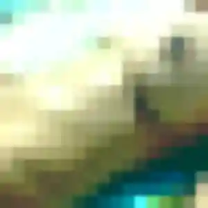 plan cul à Prémesques : profil de Manon, 44 ans - inscription gratuite