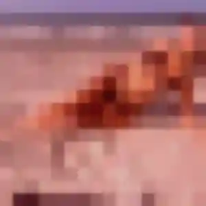 Photo de Elodie à Pressagny-l'Orgueilleux (35 ans) - plan cul anonyme