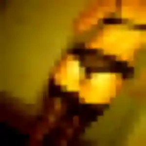 Contacte Nora, 32 ans à Prey en t'inscrivant
