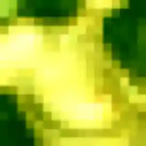 Nina, 43 ans, veut un plan cul à Proyart