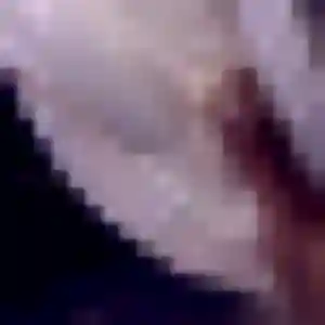Jolie Berenice, 29 ans à Publier - la contacter