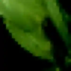 Profil de Diane à Puiseaux (44 ans) - plan cul gratuit