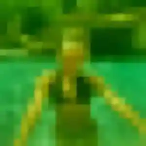 Photo exclusive de Maud, 34 ans à Puissalicon - rencontre sans lendemain
