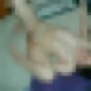 Découvre Lina, 23 ans à Quédillac gratuitement