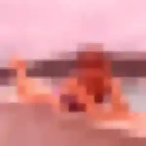 Photo de Aurelie à Queyrac (30 ans) - plan cul gratuit