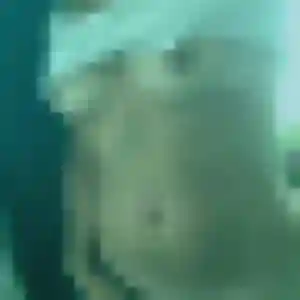 Profil de Ava à Queyrac (34 ans) - plan cul anonyme