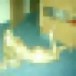 Profil de Estee à Quiévrechain (22 ans) - plan cul anonyme