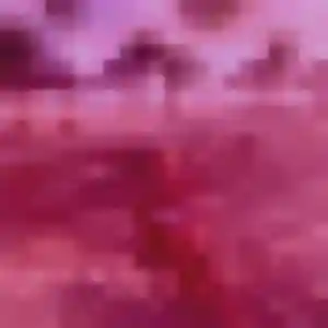 Honorine, 31 ans, veut un plan cul à Quiévrechain