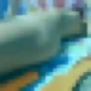 Belle Manon, 36 ans à Quincy-sous-Sénart - voir sa photo