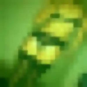 plan cul à Quissac : profil de Aisha, 28 ans - accès libre