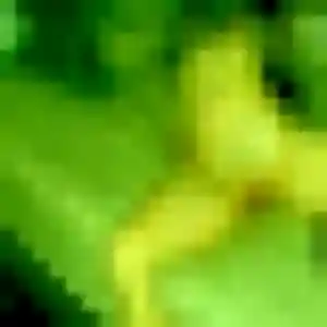 Penelope (32 ans) à Quissac propose une rencontre ce soir