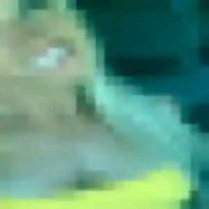 Kim, 26 ans, cherche un plan cul à Raimbeaucourt