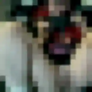 Debora, femme de 36 ans cherche plan cul à Rancy