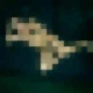 plan cul à Réaumur : photo de Marie-Ange, 31 ans - inscription gratuite