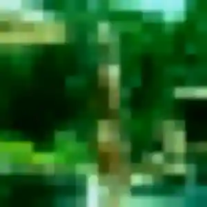 Hortense (22 ans) à Rehainviller cherche un plan cul aujourd'hui