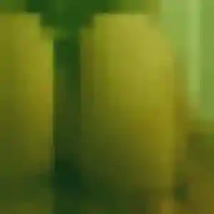 plan cul à Remilly-sur-Tille : photo de Anne, 43 ans - inscription gratuite