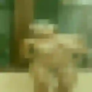 Vicky, 42 ans, en ligne à Revonnas pour une rencontre coquine