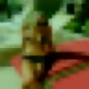 plan cul à Rieux : photo de Zoe, 31 ans - inscription gratuite